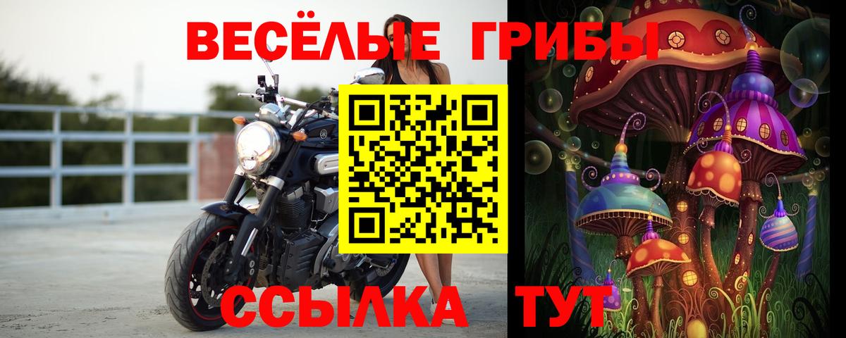 Галлюциногенные грибы GOLDEN TEACHER Анапа